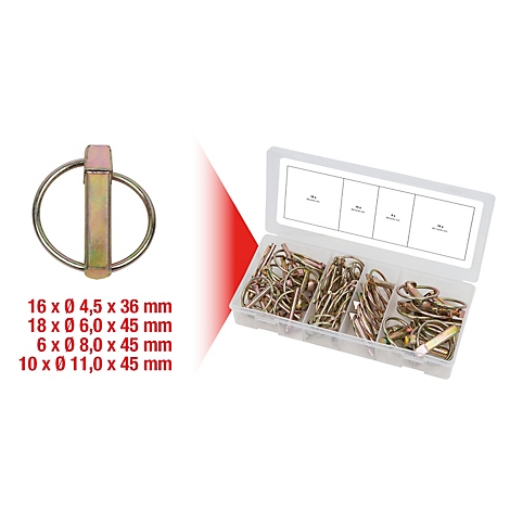 Metall-Splint mit Ring, daneben eine Sortimentsbox mit vielen Splinten. Darunter Größenangaben in mm.